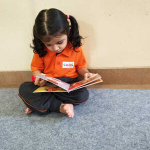 GEMS RESIZE IMG3 14 11 24 06 300x300 1